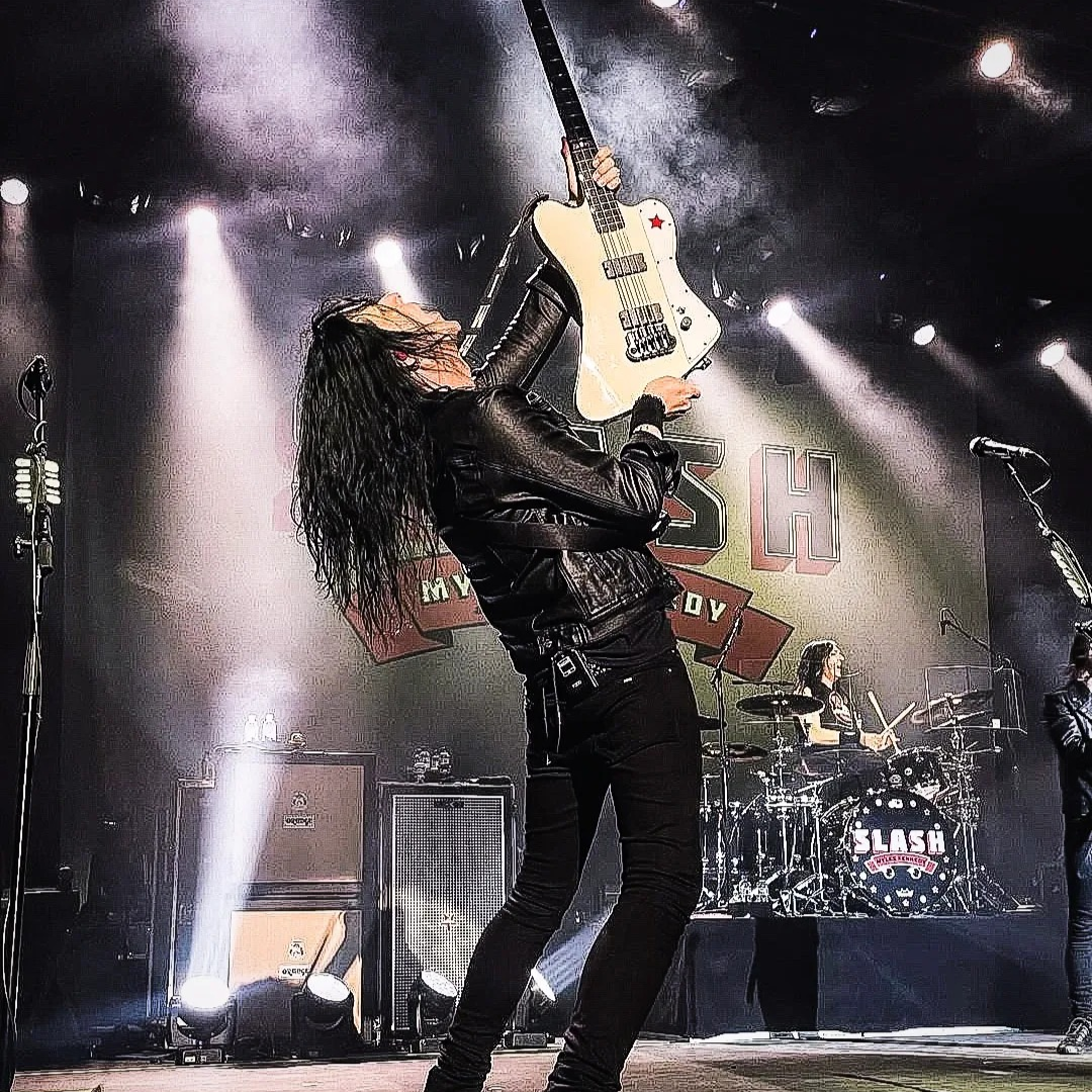 Todd Kerns' Dammit Blend Coffee Beans – Rock Your Mornings, Fuel Your Fire