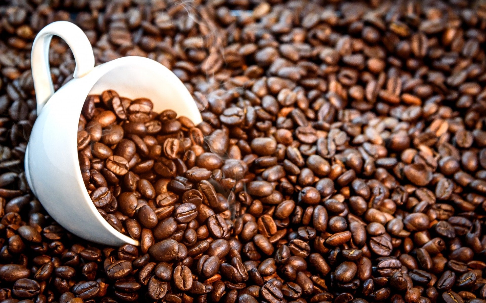 How Many Coffee Beans Is Equivalent to a Cup of Coffee Writers and Rockers Coffee Company