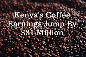 Kenya's Coffee Earnings Jump By $81 Million
